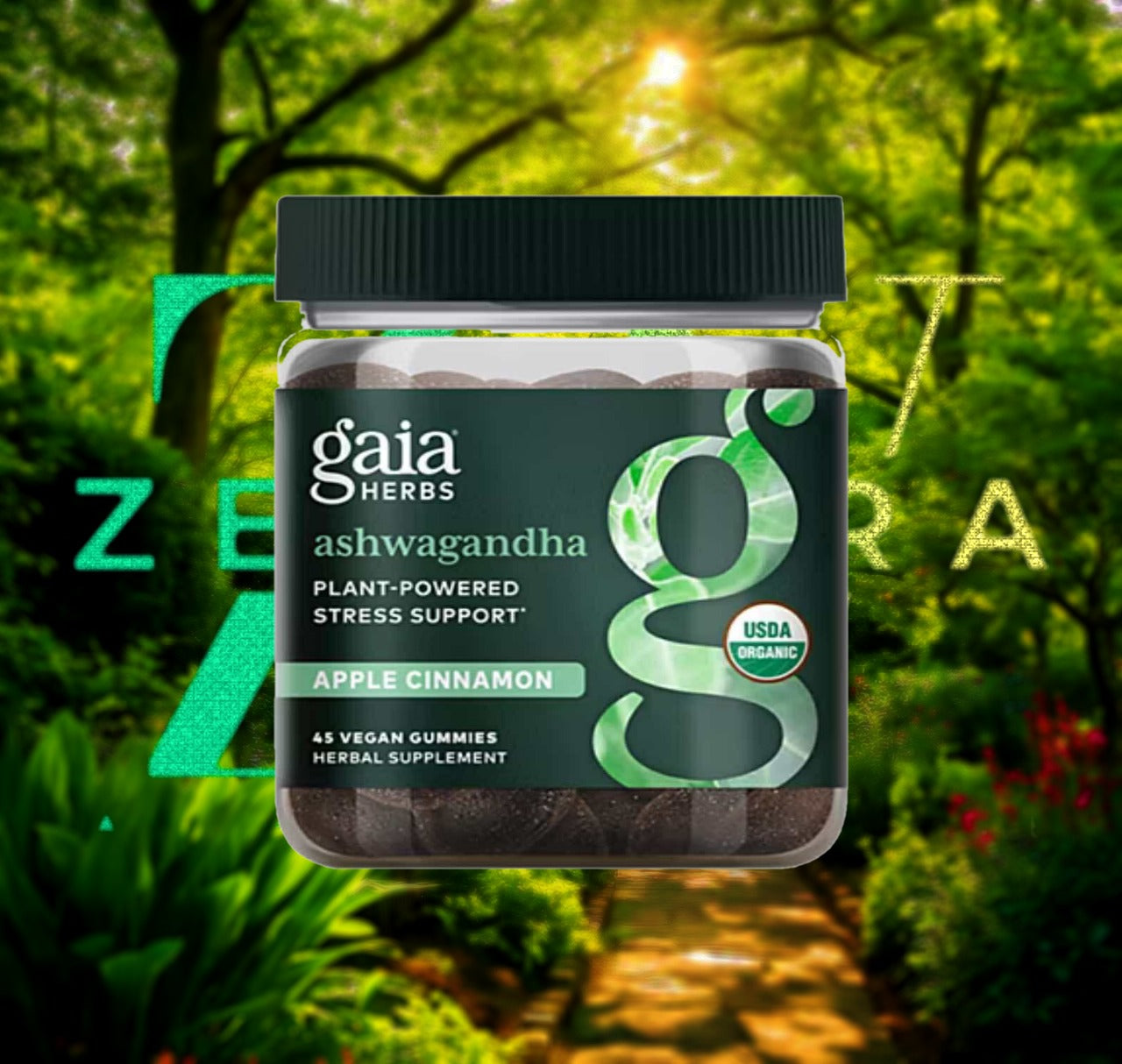 🍃 Zen Flow Kit 🍃