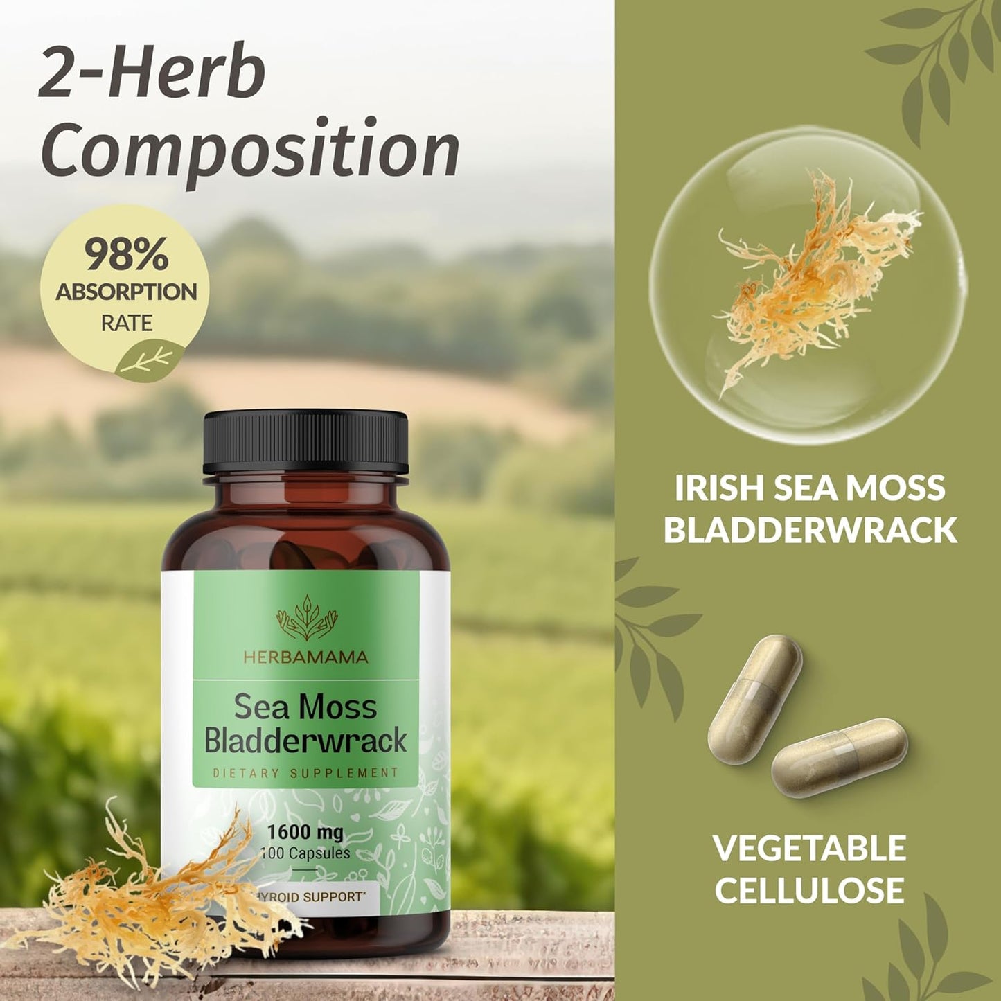 HERBAMAMA Sea Moss and Bladderwrack Capsules - 1600mg Irish Sea Moss